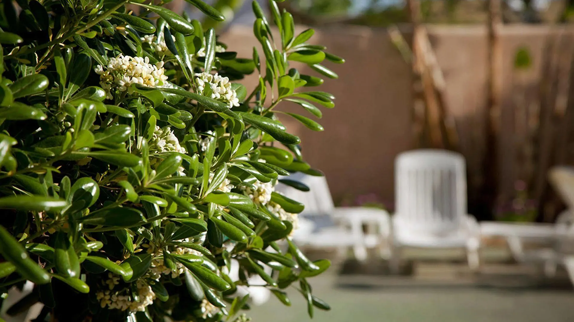 Hotel Vibra Marco Polo II - Adults Only San Antonio